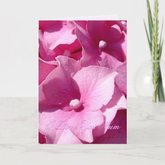 Carte Hydrangea rose Fête des Mères (Devant)