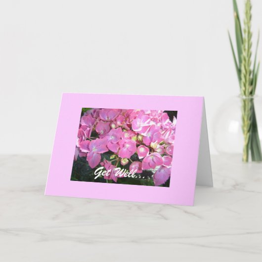 Carte Hydrangea Rose Pour un Prompt Rétablissement (Devant)