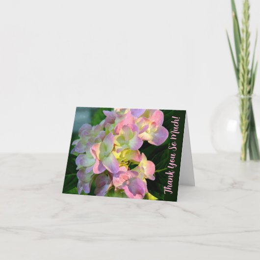 Carte Hydrangea rose soleil Merci tellement (Devant)