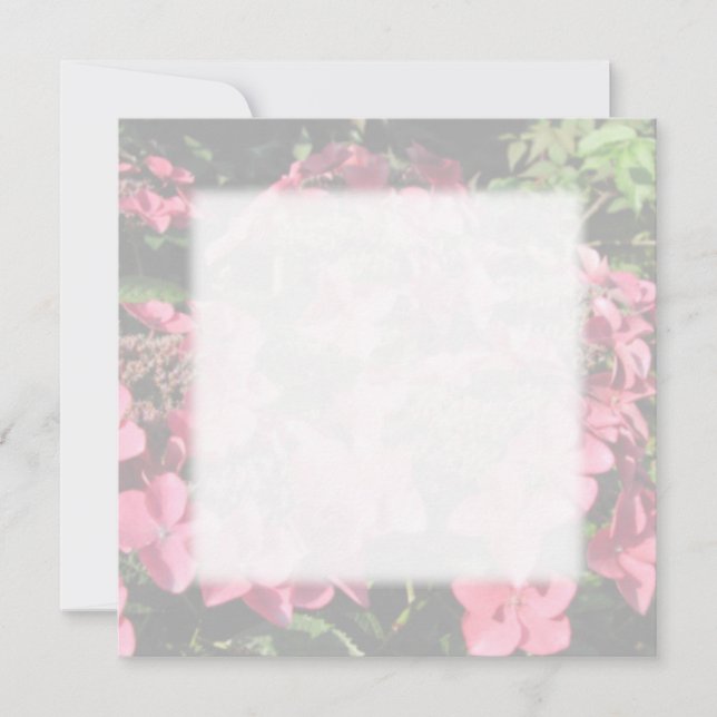 Carte Hydrangée. Fleurs roses. Couleurs Pastel Douces. (Devant)