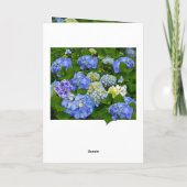 Carte Hydrangeia bleue de printemps ami chrétien Merci (Dos)