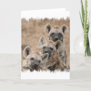 Carte Hyenas