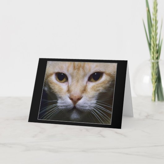 Carte "Hypnotique " (Devant)