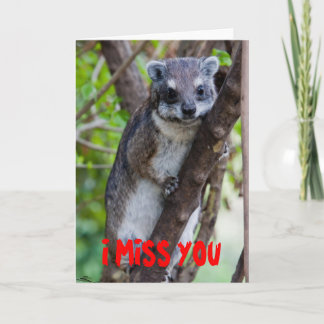 Carte Hyrax d'arbre, TU ME MANQUE