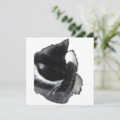 Carte I Can't Even Right Meow (Debout devant)