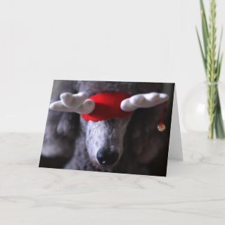 Carte I de vacances de Reindoodle