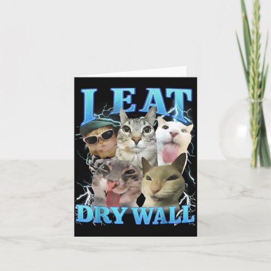 Carte I Eat Dry Wall Funny Cat Meme (Devant)