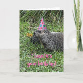 Carte I heard it's your birthday, groundhog cards (Devant)