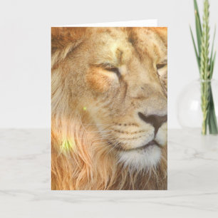 Carte I Love Lions Greeting Card