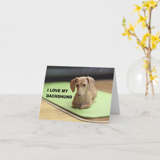 Carte I Love My Cream Dachshund avec photo (Fleur jaune)