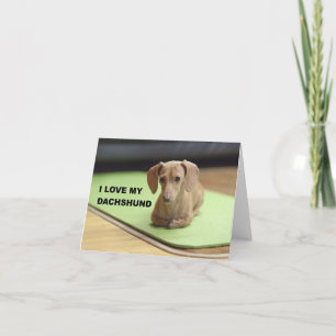 Carte I Love My Cream Dachshund avec photo