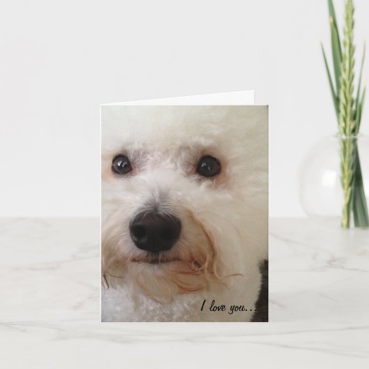 Carte "I Love You...More!" (Devant)