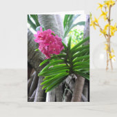 Carte Iao Valley - Maui, Hawaii (Fleur jaune)