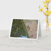 Carte Iberian Frogs (Fleur jaune)