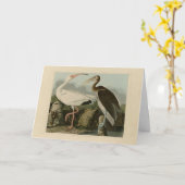 Carte Ibis blanc - Les oiseaux d'Amérique de John James (Fleur jaune)