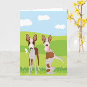 Carte Ibizan Hound Dog Animal Buble Gum (Fleur jaune)