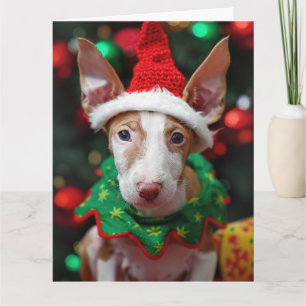 Carte Ibizan Hound Elf Puppy Christmas Card