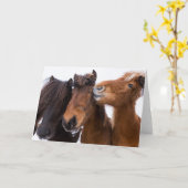 Carte Icelandic Horse Friends, Iceland (Fleur jaune)