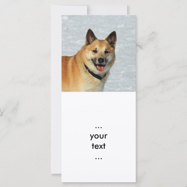 Carte IcelandicSheepdog20150904 (Devant)