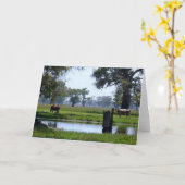 Carte Ici vous regarde (Fleur jaune)