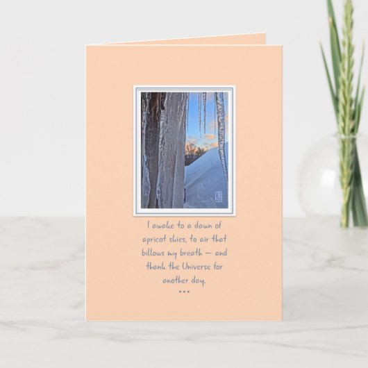 Carte Icicles à Sunrise Apricot Ski Card (Devant)