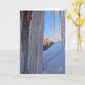 Carte Icicules au lever du soleil (Fleur jaune)
