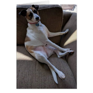 Carte idiote de chien - masquez à l'intérieur
