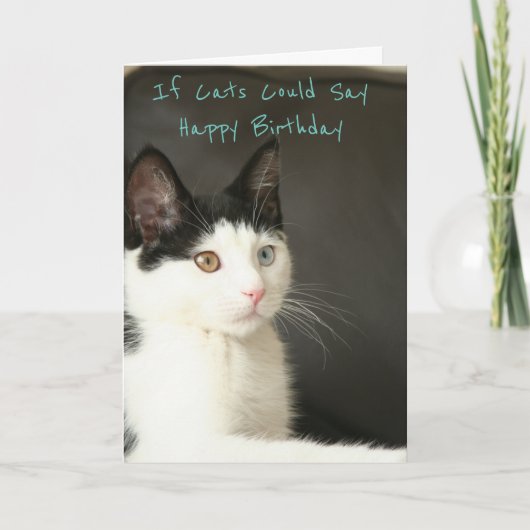 Carte If Cats Could Say Happy Birthday (Devant)