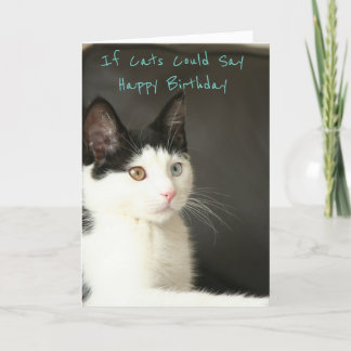 Carte If Cats Could Say Happy Birthday