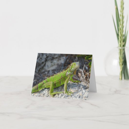 Carte Iguana dit que tu me manques salut (Devant)