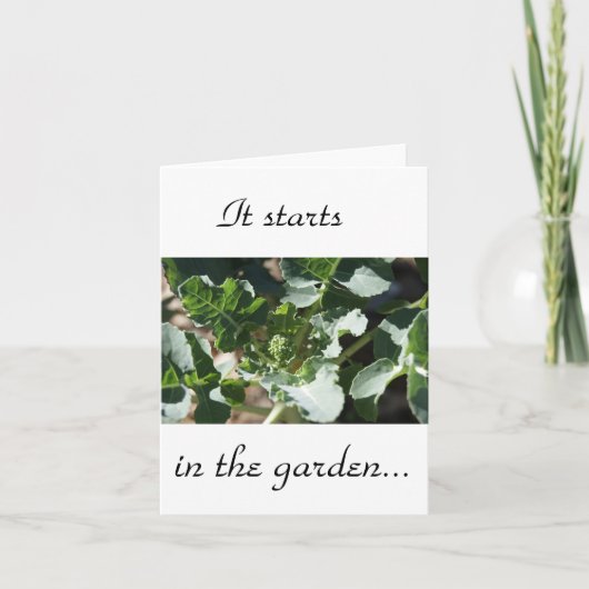Carte Il commence dans le jardin (Devant)
