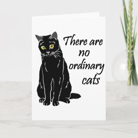 Carte Il N'Y A Pas De Chats Ordinaires (Devant)