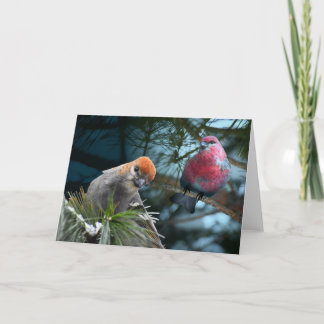 Carte Il suffit de vous enregistrer ! Pine Grosbeaks