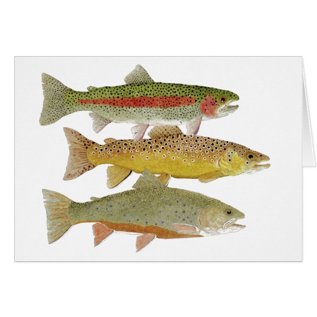 Carte illimitée de truite de vallée de Cumberland (Devant horizontal)