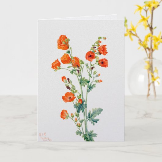 Carte Illustration botanique de la globemallow du désert (Fleur jaune)