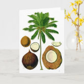 Carte Illustration botanique de l'arbre à coco (Fleur jaune)
