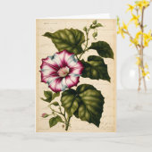 Carte Illustration botanique du matin (Fleur jaune)