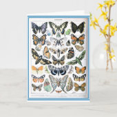 Carte Illustration d'art papillon papillon vintage (Fleur jaune)