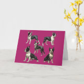 Carte Illustration de Boston Terrier (Fleur jaune)