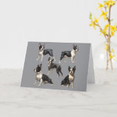 Carte Illustration de Boston Terrier (Fleur jaune)