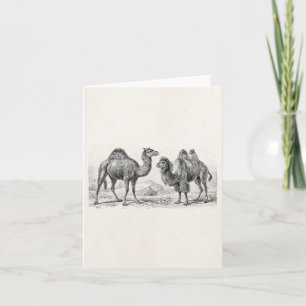 Carte Illustration de chameau vintage - Camels anciens r