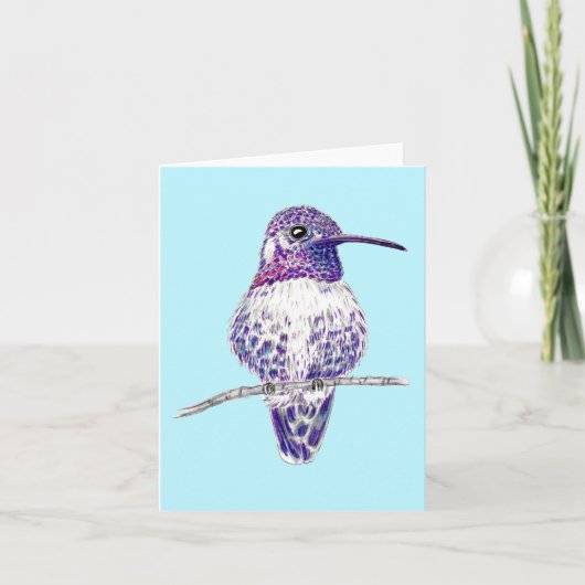 Carte Illustration de costas pourpre (Devant)