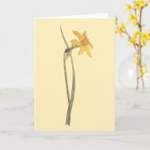 Carte Illustration de fleur de jaune de jonquille de (Fleur jaune)