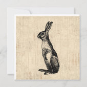 Carte Illustration de lapin vintage Lapin à la mode anci (Dos)