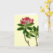 Carte Illustration de rhododendron rose (Fleur jaune)