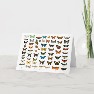Carte Illustration des papillons vintages