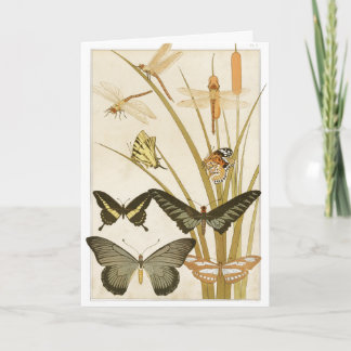 Carte Illustration des papillons vintages