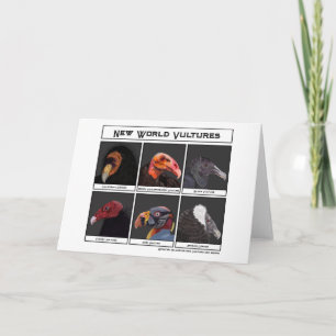 Carte Illustration des vautours du nouveau monde