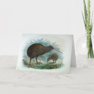 Carte Illustration d'oiseaux Vintages de Kiwi Brown Nort