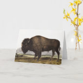 Carte Illustration du bison américain (Bos Americanus) (Fleur jaune)